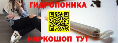 гашик Кизилюрт