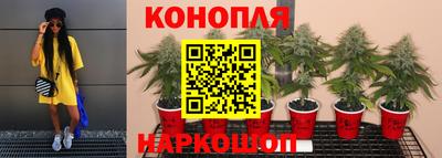 мдма Кизляр